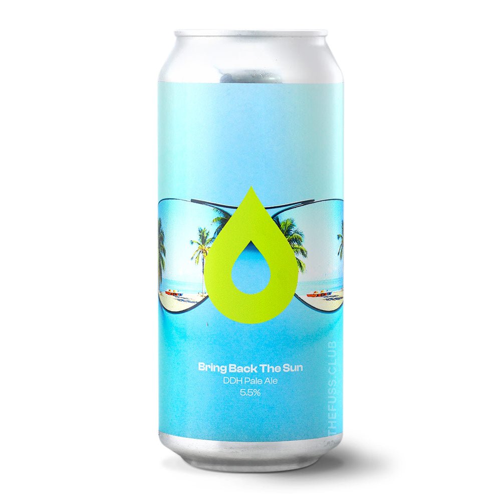 Polly's Brew Co. Bring Back the Sun