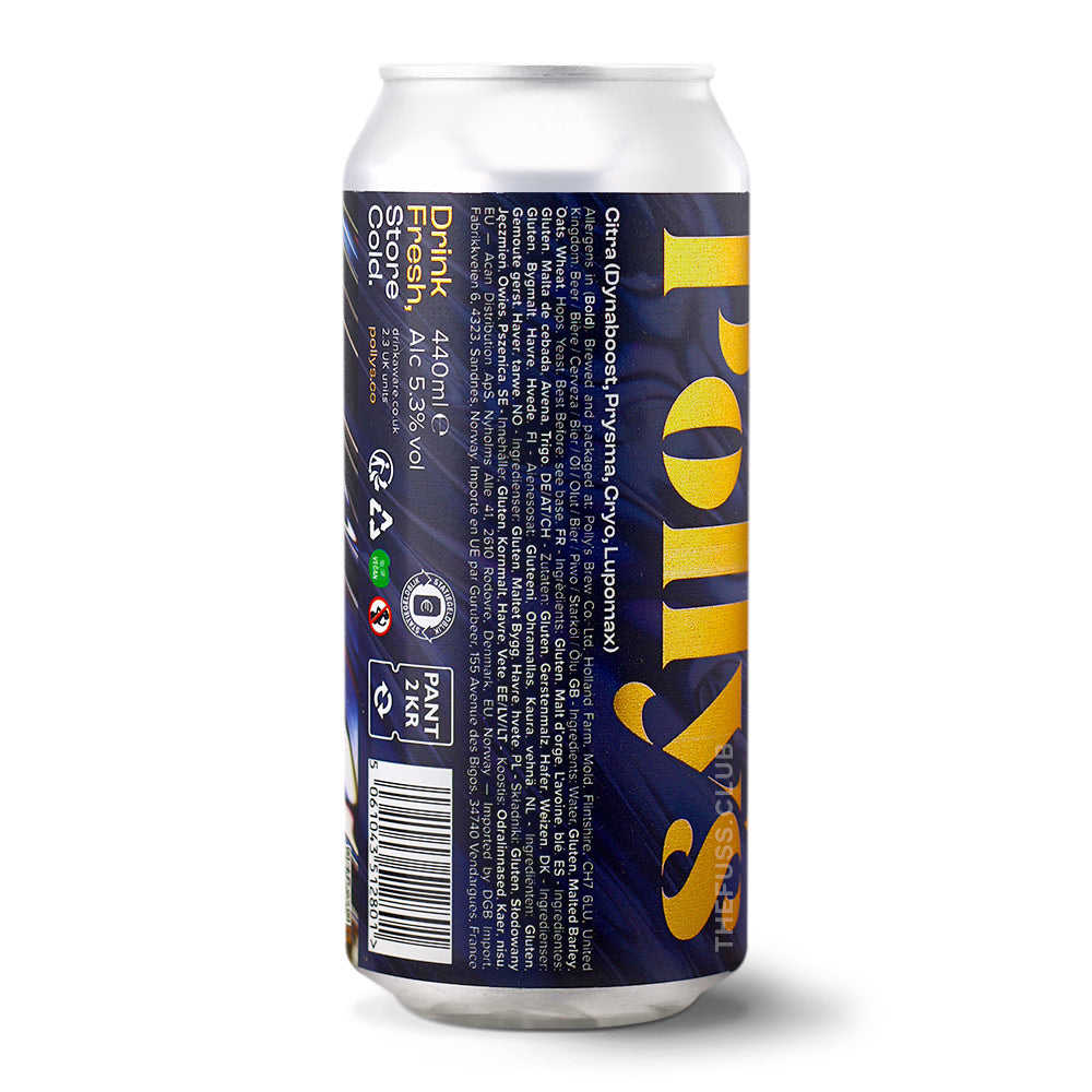 Polly's Brew Co. Surrealistic Pale Ale - Other craft beer home delivery UK
