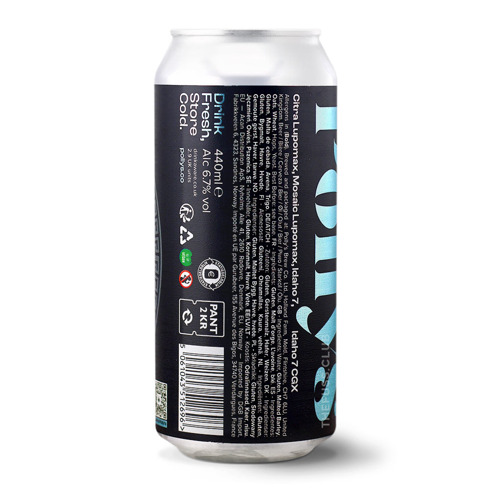 Polly's Brew Co. Twin Current IPA - American craft beer home delivery UK