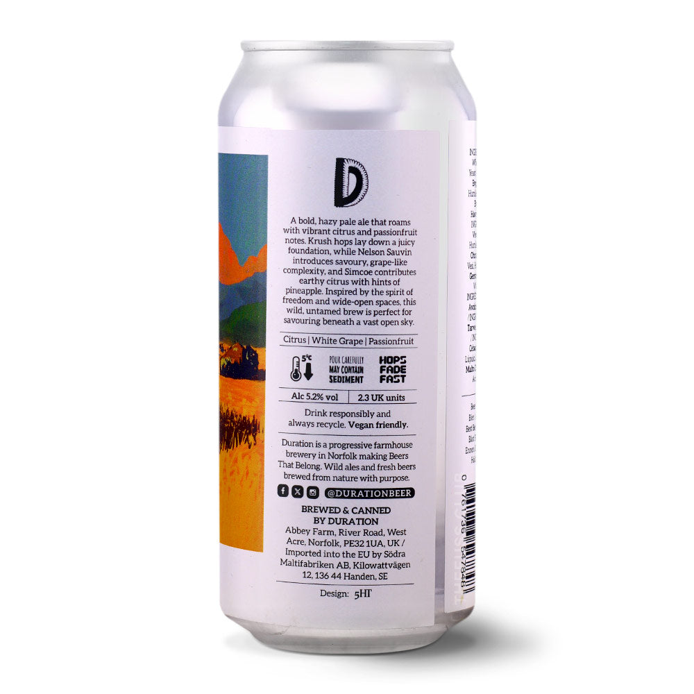 Duration Brewing Where the Buffalo Roam Pale Ale - American craft beer home delivery UK