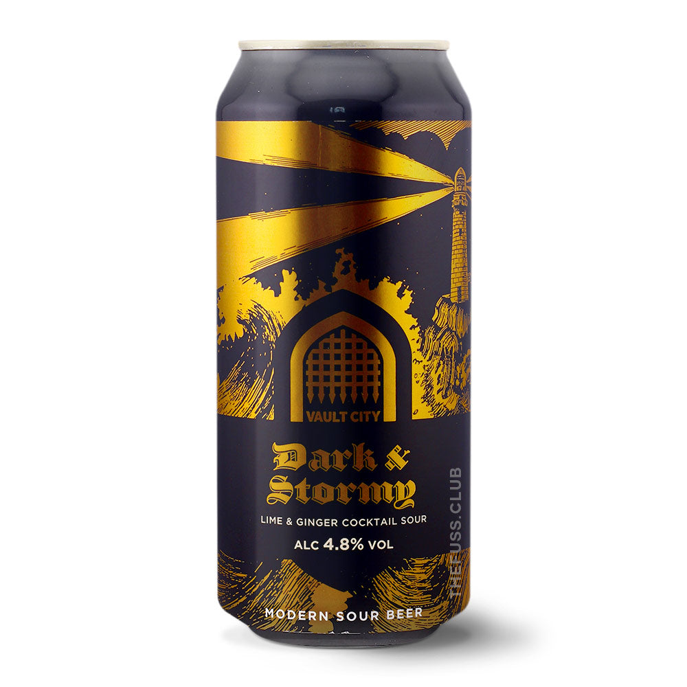 Vault City Brewing Dark and Stormy Sour - Fruited craft beer home delivery UK