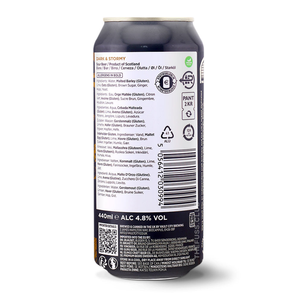 Vault City Brewing Dark and Stormy Sour - Fruited craft beer home delivery UK