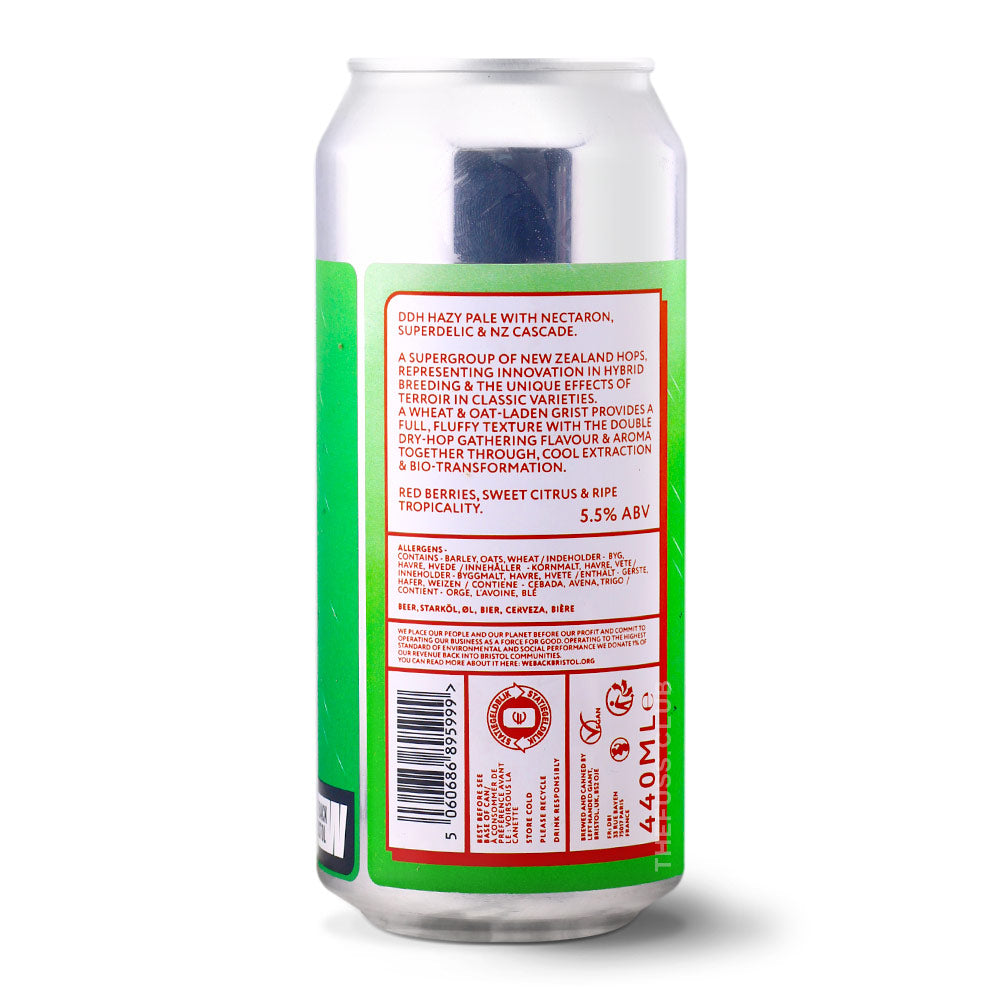 Left Handed Giant Even the Rain Pale Ale - New Zealand craft beer home delivery UK